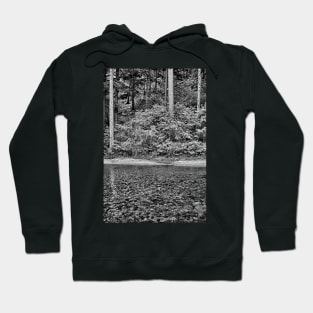 Big Thompson Canyon in Summer Hoodie